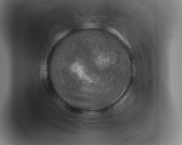 X0000102471213200808151421