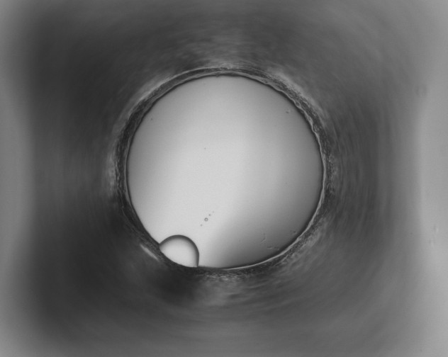 X0000102471215200808151421