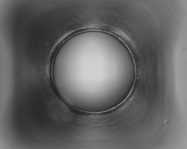 X0000102471216200808151421