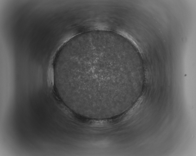 X0000102471219200808151421