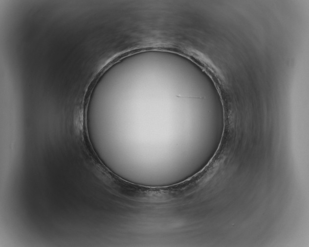 X0000102471220200808151421