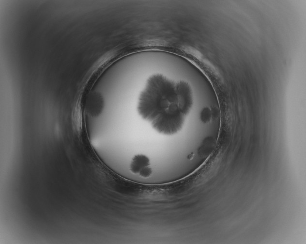 X0000102471221200808151421