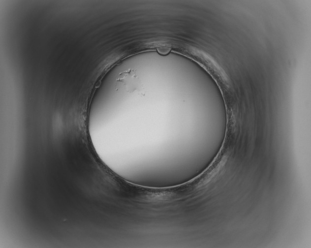 X0000102471225200808151421