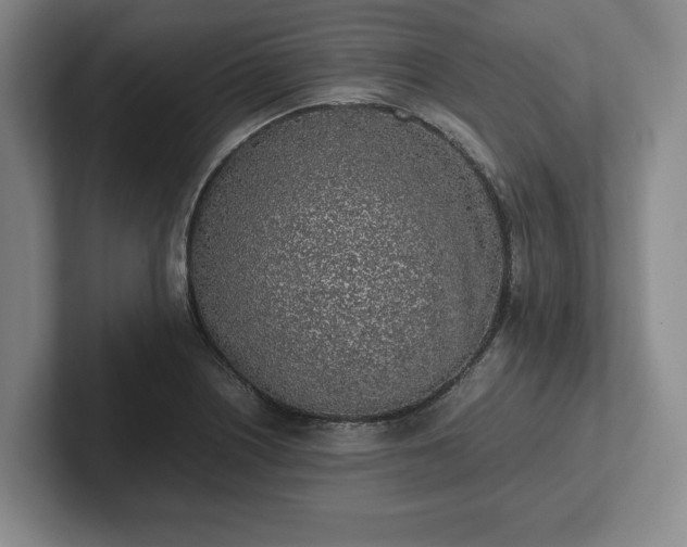 X0000102471226200808151421
