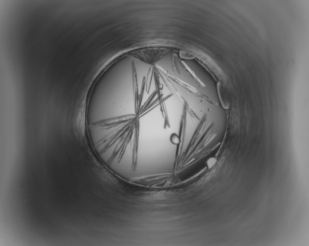 X0000102471228200808151421