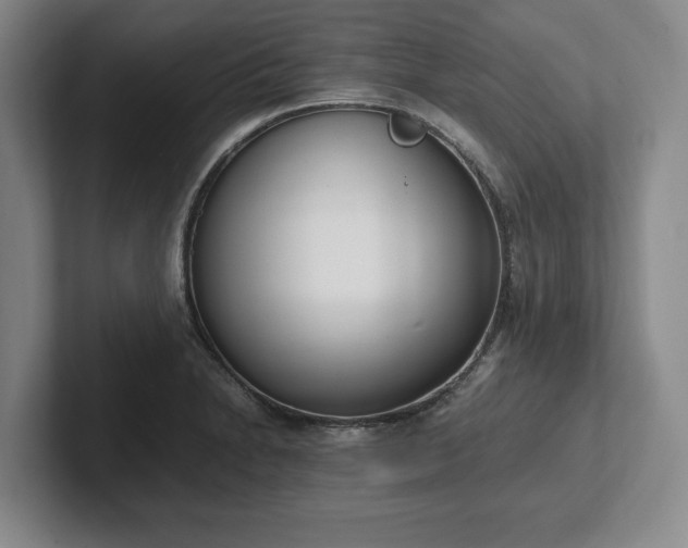 X0000102471230200808151421