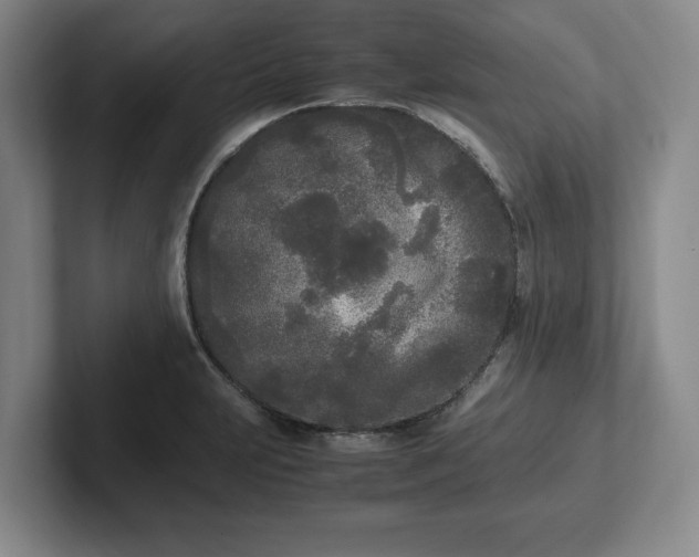 X0000102471231200808151421