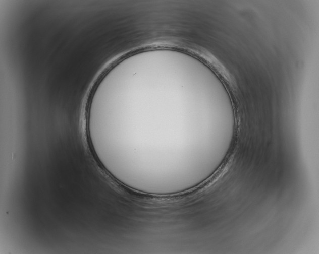 X0000102471232200808151421
