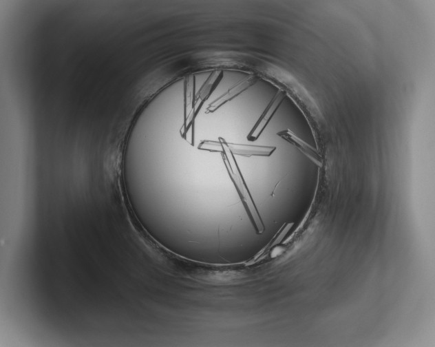 X0000102471233200808151421