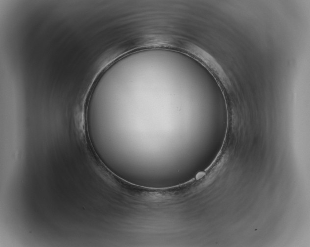 X0000102471234200808151421