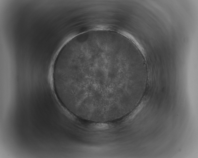 X0000102471235200808151421