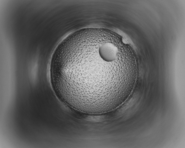 X0000102471237200808151421