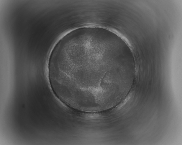 X0000102471239200808151421