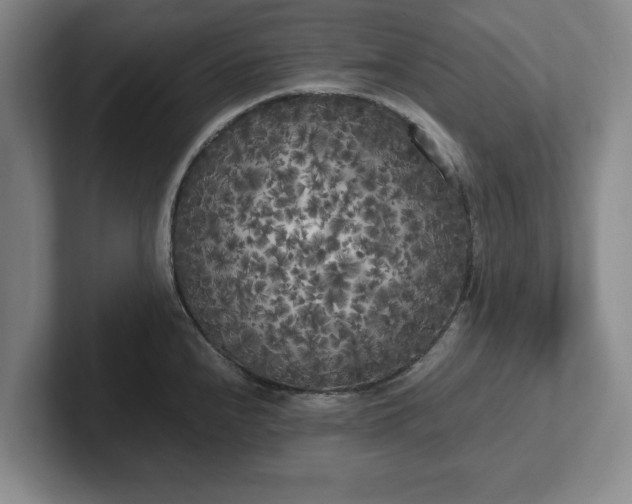 X0000102471240200808151421
