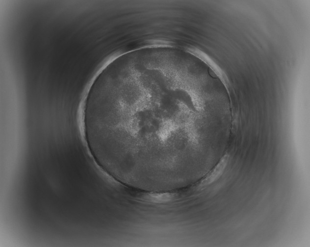 X0000102471243200808151421