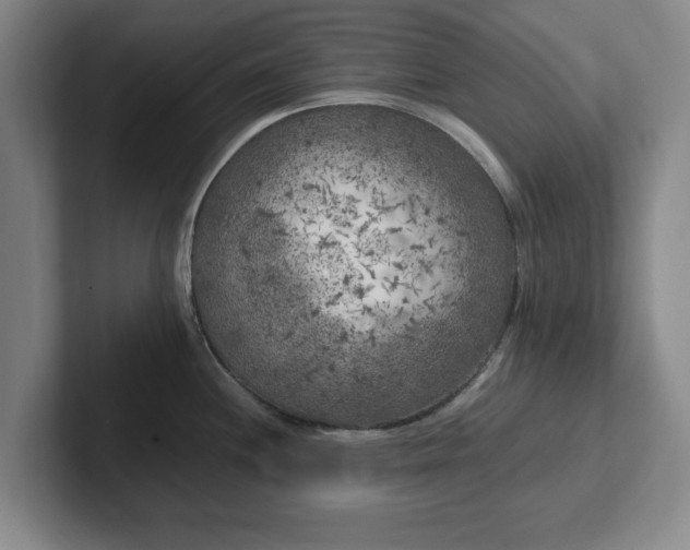 X0000102471244200808151421