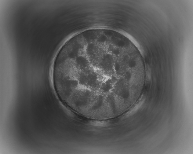 X0000102471245200808151421