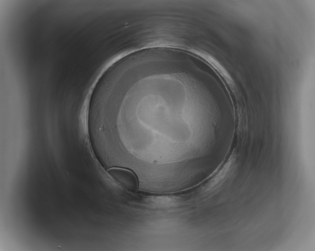 X0000102471246200808151421