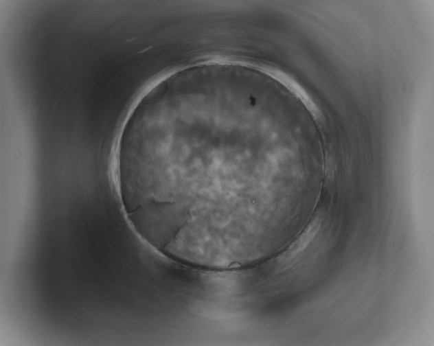 X0000102471247200808151421