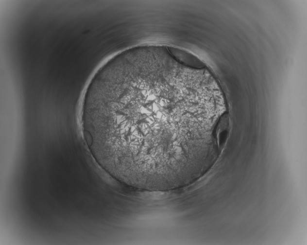 X0000102471248200808151421