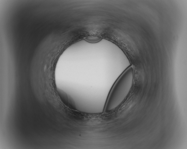 X0000102471249200808151421