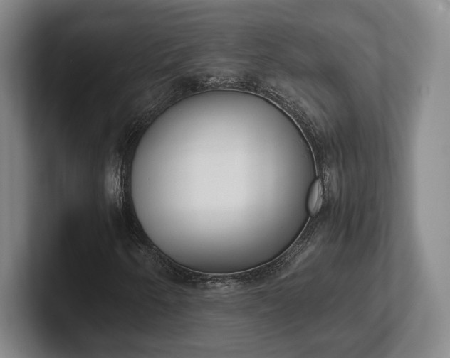 X0000102471250200808151421