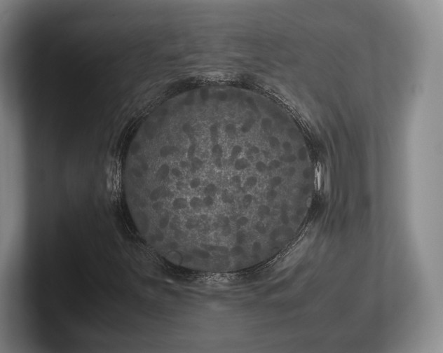 X0000102471251200808151421