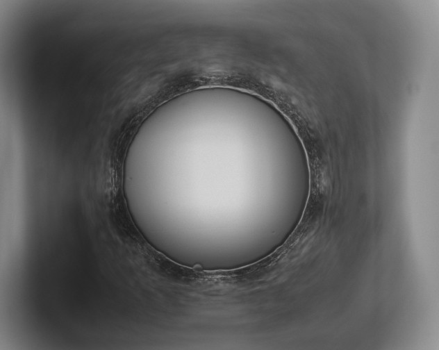 X0000102471253200808151421