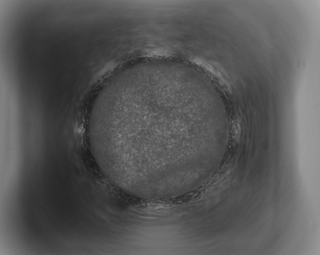 X0000102471254200808151421