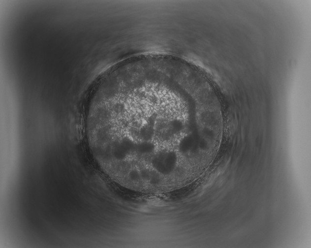 X0000102471255200808151421