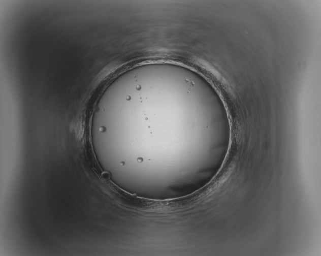X0000102471259200808151421