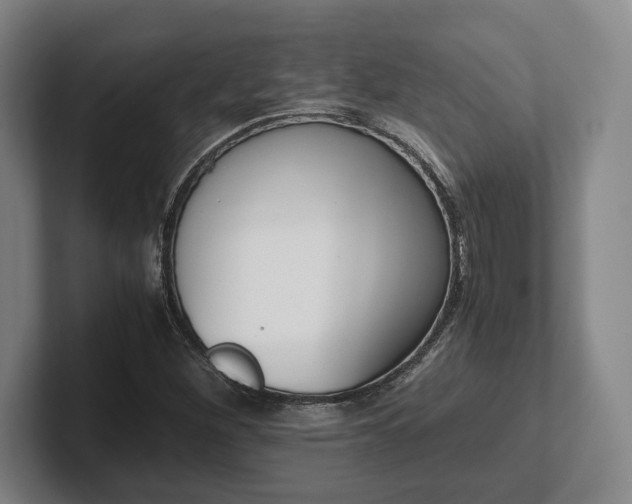 X0000102471260200808151421