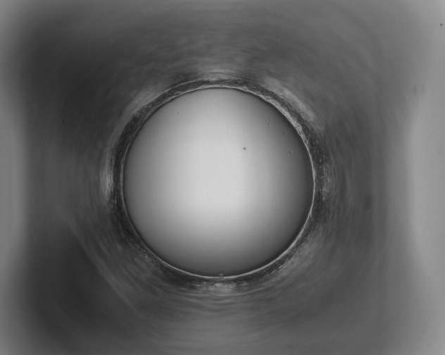 X0000102471261200808151421