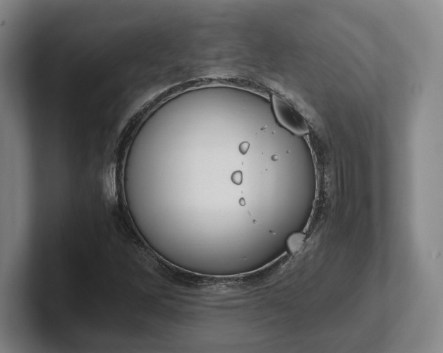 X0000102471262200808151421