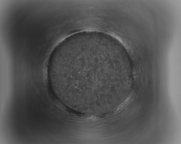 X0000102471263200808151421