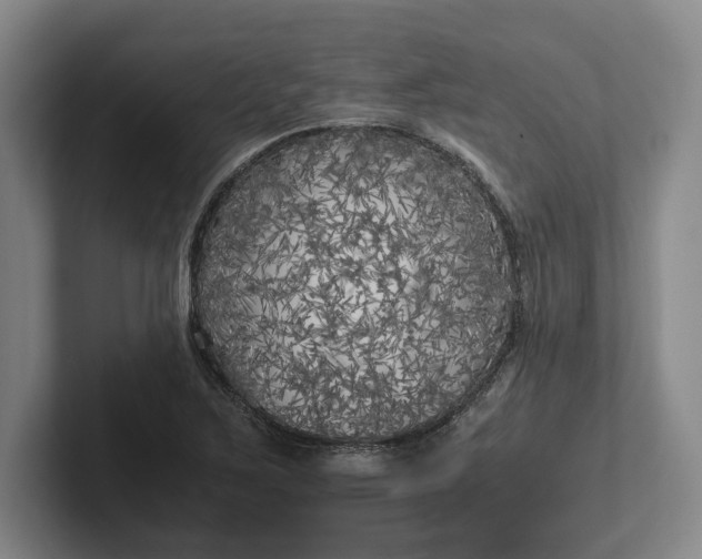 X0000102471267200808151421