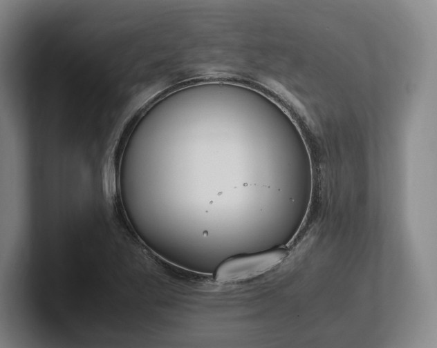 X0000102471269200808151421