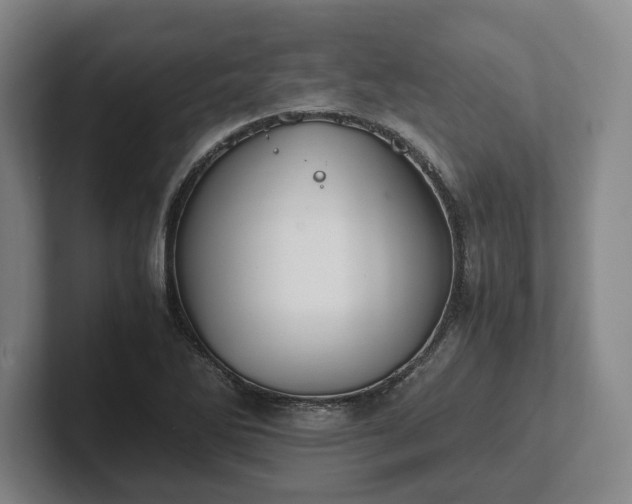 X0000102471270200808151420