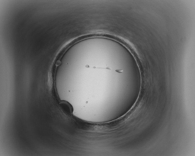X0000102471271200808151420