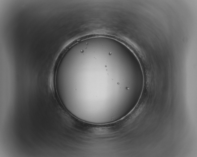 X0000102471272200808151420