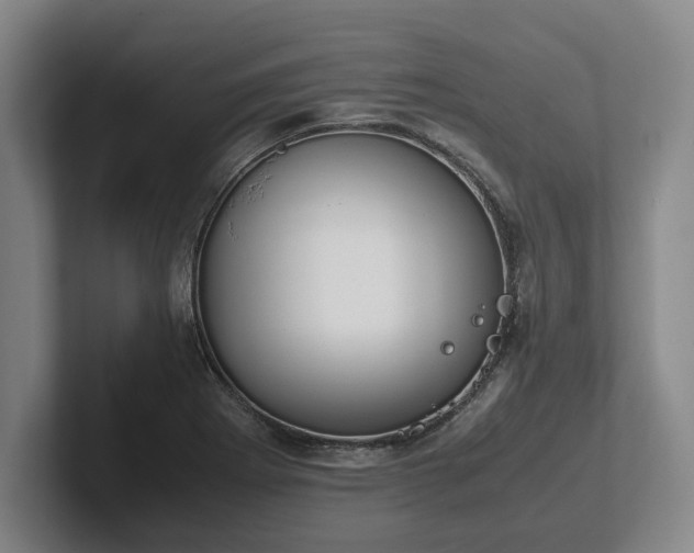 X0000102471273200808151420