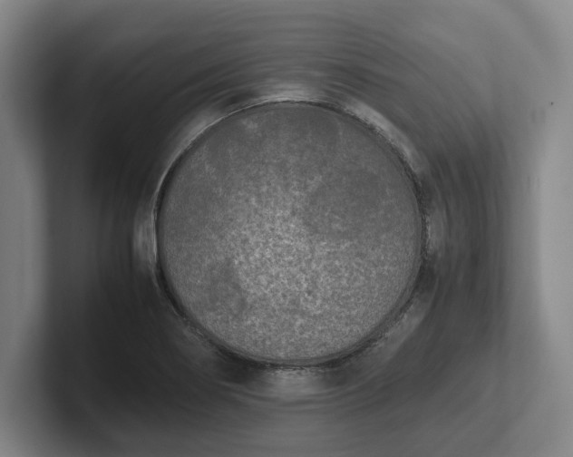 X0000102471274200808151420