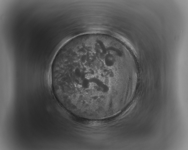 X0000102471275200808151420