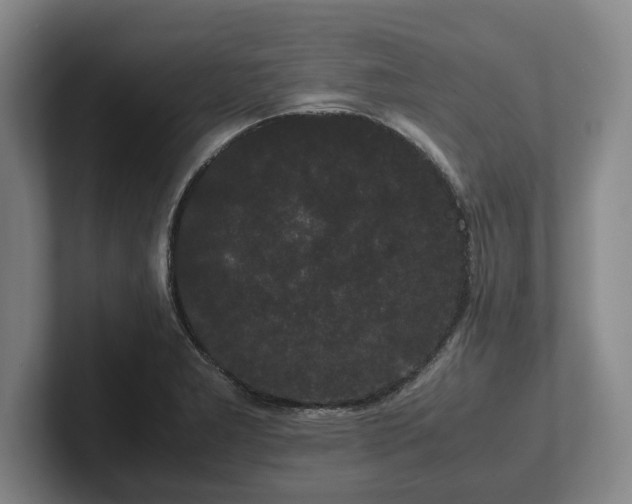 X0000102471277200808151420