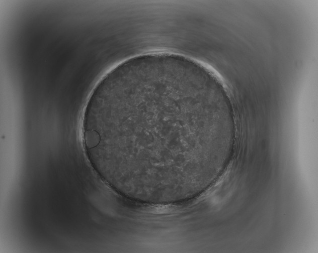 X0000102471279200808151420