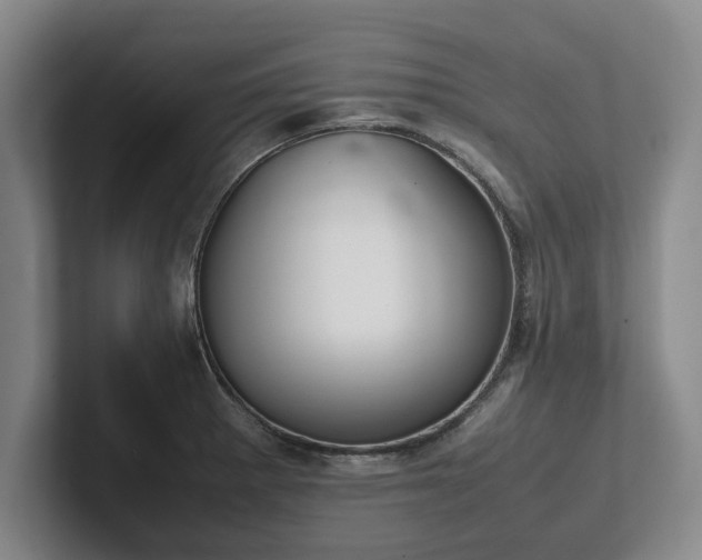 X0000102471281200808151420