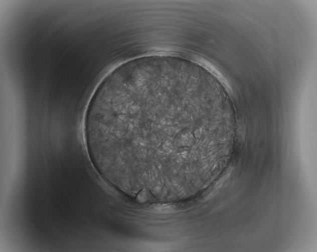 X0000102471283200808151420