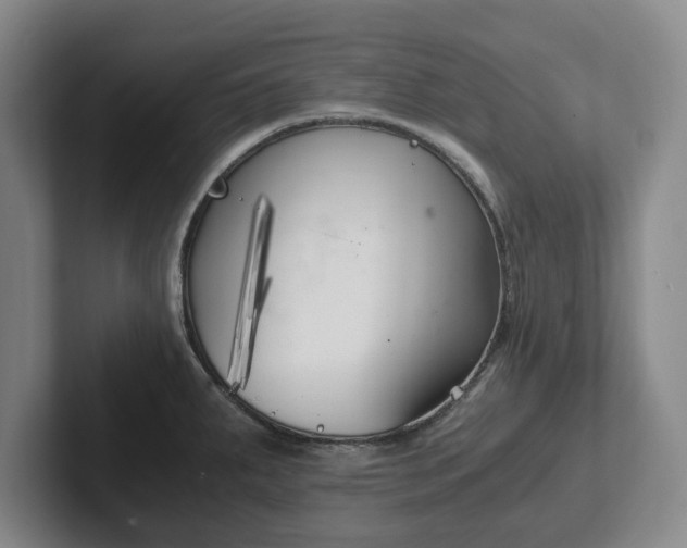 X0000102471287200808151420