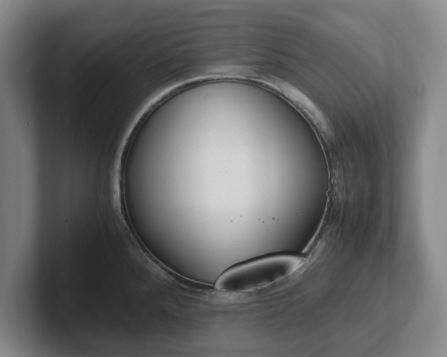 X0000102471288200808151420