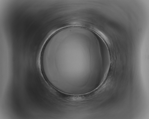 X0000102471291200808151420